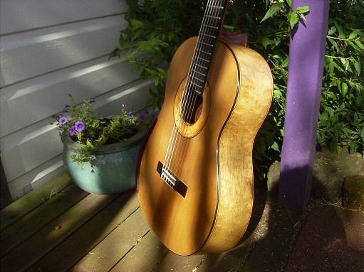 guitar