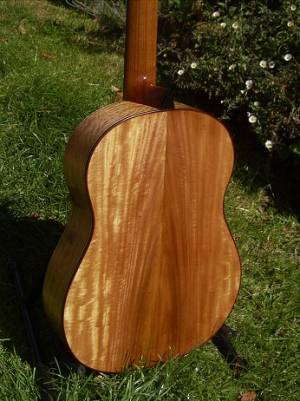 guitar
