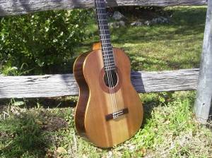 guitar