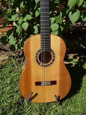 guitar
