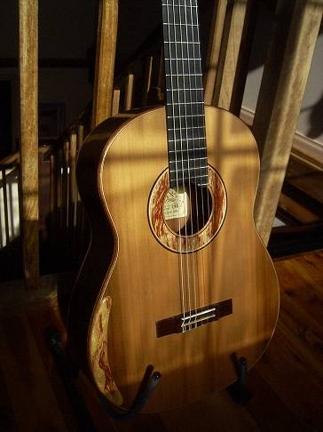 guitar